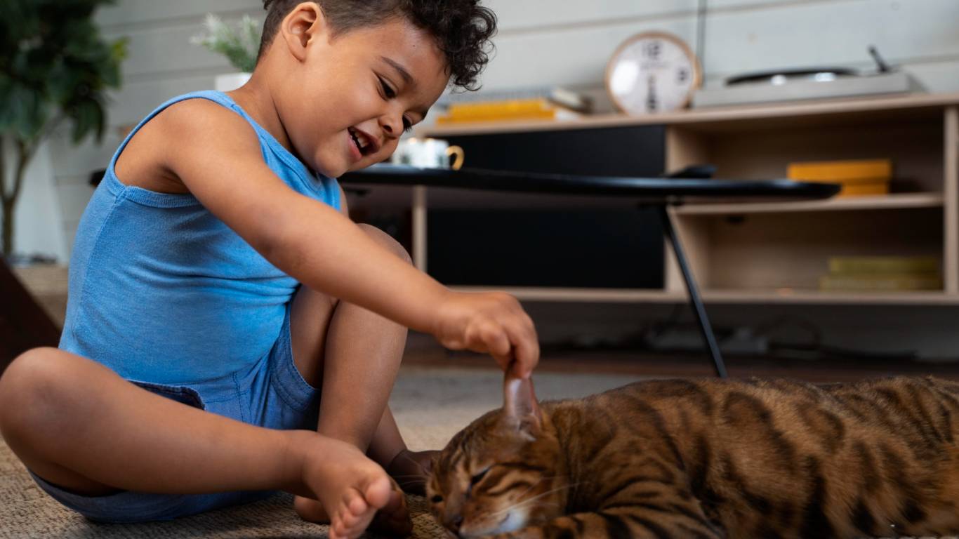 imagem de uma criança brincando com um gato