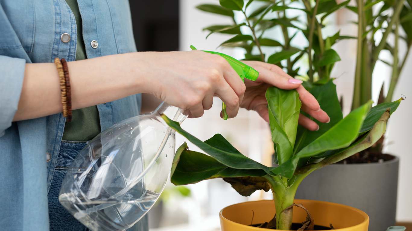imagem de uma pessoa cuidado de plantas em alusão aos rituais de realxamento