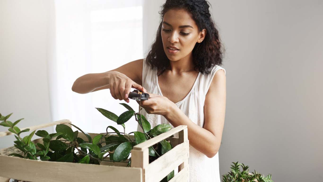 imagem de uma mulher cuidando de plantas
